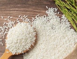 Kenaikan harga beras di pasaran disertai dengan penurunan stok. Apakah kita akan menghadapi situasi yang serupa dengan krisis minyak goreng?