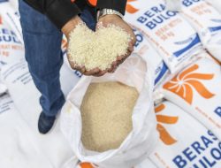 Jokowi Menjamin Ketersediaan Beras Selama Ramadhan