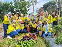TP PKK Babel Bagi Sayur yang Ditanam di Rumah Gubernur ke Lansia & Panti Asuhan