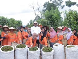 Pj Gubernur Safrizal Berupaya Kembalikan Kejayaan Lada Babel