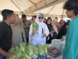 Pj Ketua PKK Aceh Dorong Pemanfaatan Produk Lokal dan Usaha Kecil dalam Kunjungan ke Pasar Tani Distanbun Aceh
