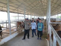 Dukung Swasembada Pangan Program Prabowo, Safrizal Cek Pusat Pembibitan 1.500 Sapi Unggul