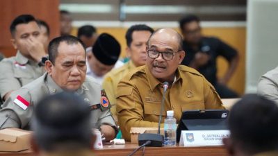 Safrizal Tegaskan Kayu Eks Banjir dan Tanah Longsor di Aceh Dapat Dimanfaatkan