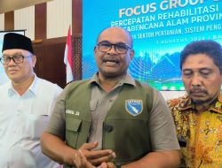 Pemerintah Percepat Pemulihan 40 Ribu Hektare Sawah Pascabencana di Aceh